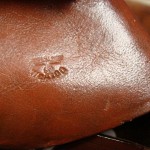 H78 Very Rare Waffenamted Tan Holster for the Walther PPK...Mint!