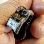 M1001- Original German Waffenampted Eagle/WaA655 (Mauser Oberndorf) K98k muzzle cover