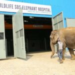 Just a word to let you all know that Scotty will be un-available this Wednesday- Thursday