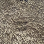 SOLD FLAT OUT MINT RARE WALTHER PP HOLSTER, GERMAN ARMY WAFFENAMPTED, INK STAMPED HCK FOR GEORG LERCH