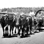 MON APR 3, HEADED BACK FROM TULSA