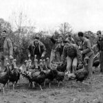 FRI DEC 1, FINAL DAY OF THE THANKSGIVING SALE!  WE HAVE HERDED UP SOME GREAT BUYS! LAST DAY!