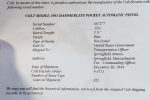 MON JUL 28, RARE US WWII US PROPERTY MARKED 1903 COLT POCKET HAMMERLESS PISTOL, LATE 1944 PRODUCTION, NOT BRITISH PROOFED, MINTY! WITH COLT LETTER TOO! - Image 3