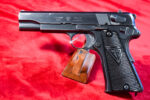 WED SEPT 23, ULTRA RARE 1938 POLISH EAGLE ViZ 35 RADOM PISTOL, ALL MATCHING, MINT CRISP!