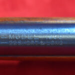 MON OCT 26, MINT NEW WINCHESTER MODEL 1900 BOY'S RIFLE, 22 SHORT & LONG, IN A CONDTION THAT YOU NEVER FIND THEM!